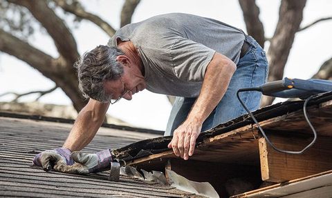 Understanding Roof Leak Emergencies: Explore Guide, Details, Suggestions, and Resources